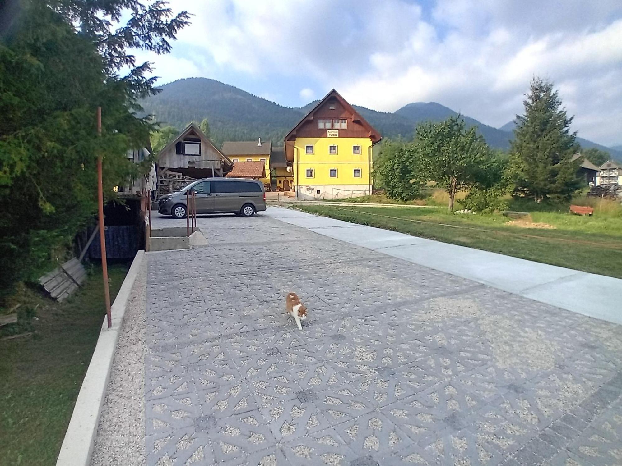 B&B Family Room Tubej Bohinj Exterior photo